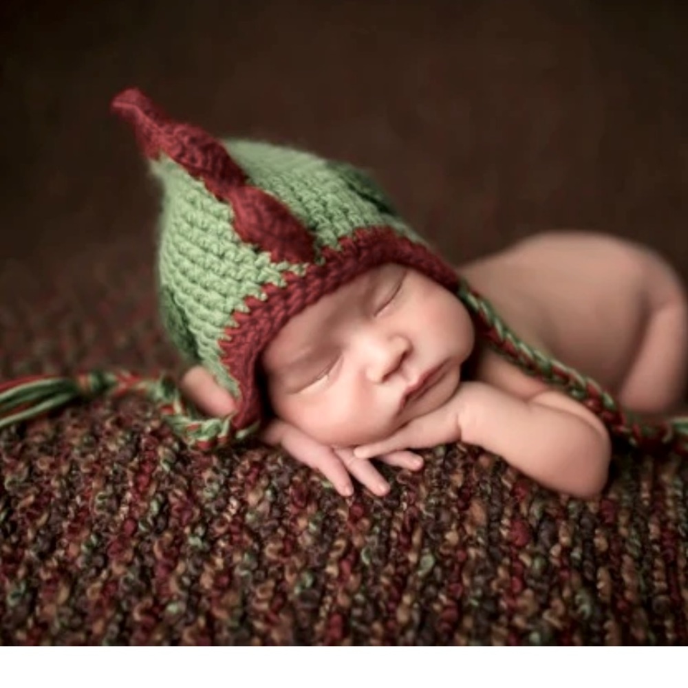 Dino Hat by The Daisy Baby